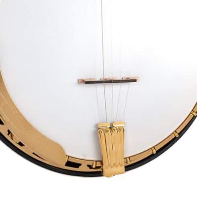 Gold Tone OB-Grandee Orange Blossom Grandee Banjo with Case — New | Banjo Warehouse image 13