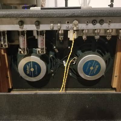 Custom EL34 Cathode-bias Amp 2x10" Combo image 2