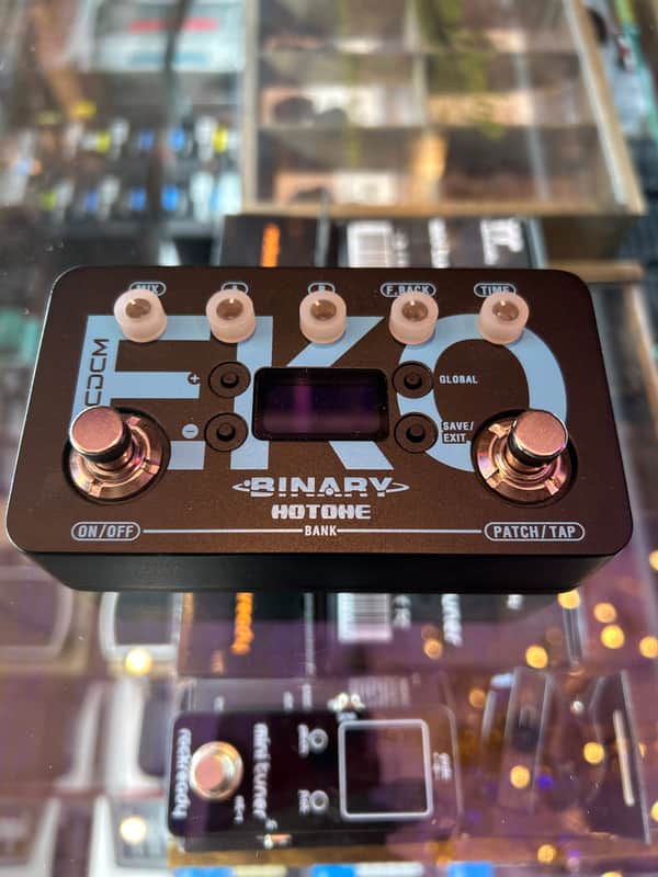 Hotone Binary Eko Delay 2022- Black/Blue image 1