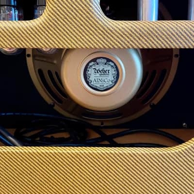 Rare Vintage Sounds Amps Tweed 15 2010s - Shellac Amber image 5