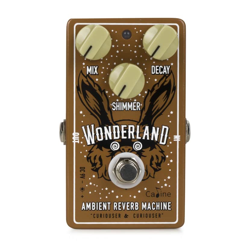 Caline CP-508 Wonderland Ambient Reverb image 1