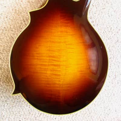 Kentucky KM-DAWG 1985 Antique Vintage Sunburst image 6
