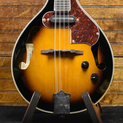 IBANEZ M510EBS MANDOLIN 2W/PU image 1