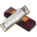 Suzuki FolkMaster Diatonic 10-Hole Harmonica - Key of C