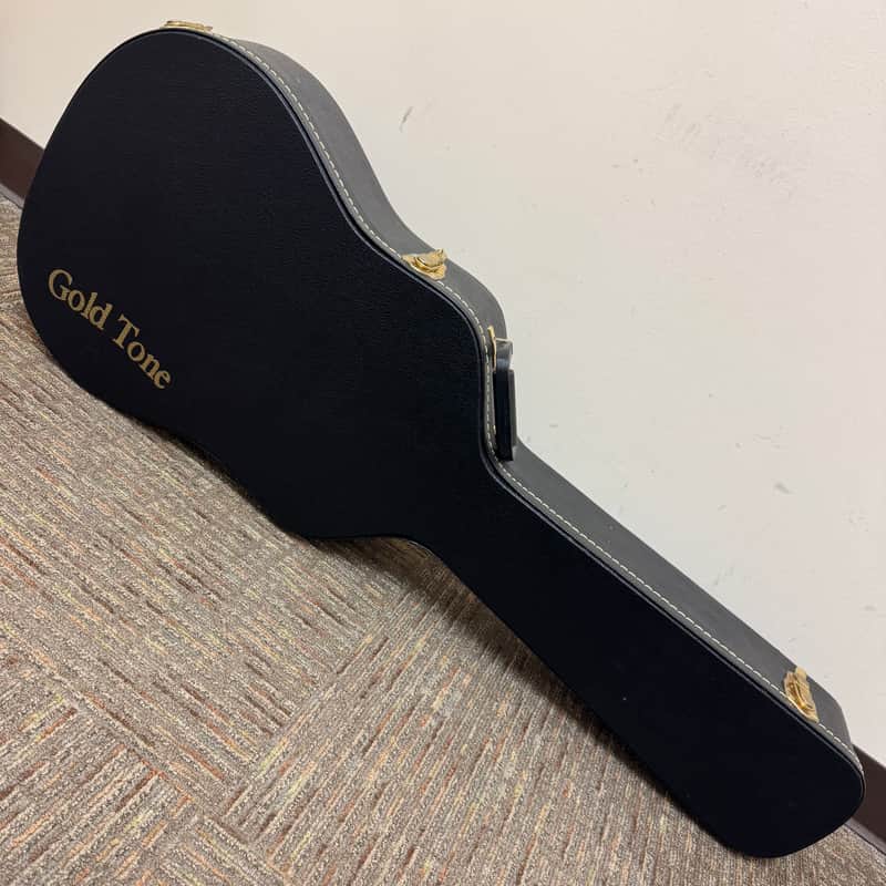 Gold Tone Hardshell Case Dulciborn image 1