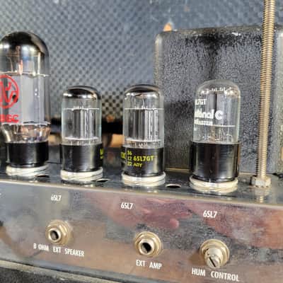 Ampeg B-15-N 1966 w/ Altec Speaker Serviced - Blue Checker image 16