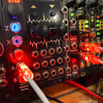 Make Noise - Erica Synths - plus more Custom System 2019 image 8