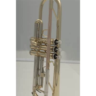 SML Paris VSM TP300 Tromba Sib Bild 5