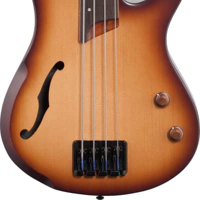 Ibanez SRH500F Bass Workshop Fretless 4-String Bass Guitar, Panga Panga Fingerboard, Natural Browned Burst Flat image 1