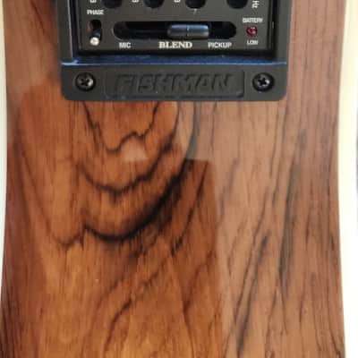 Taylor 810 BCE Special Edition 2000 - Brazillion Rosewood Back and Sides image 5