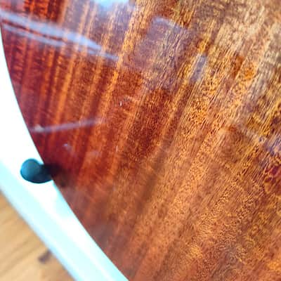Eastman AC330E-12 - Natural image 11