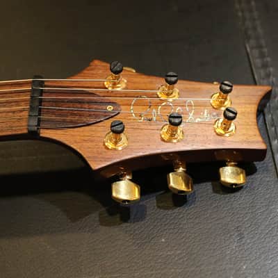 PRS Custom 22 Stoptail Artist Package image 10