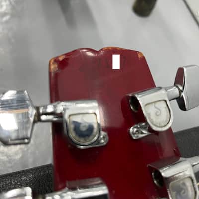 SUPER RARE!!! Hamer USA Vector 1982 Sunburst Case_169 image 17