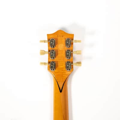 Hamburguitar Jerry Garcia Style Guitar Owned by Mike Campbell image 6