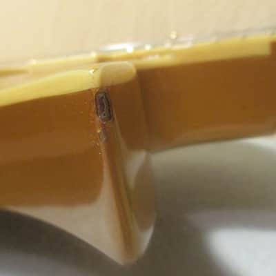 Fernandes Ravelle Elite 03-06 Gold image 14