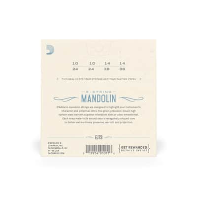 D’addario EJ73 10-38 Light Set Mandolin Strings image 2