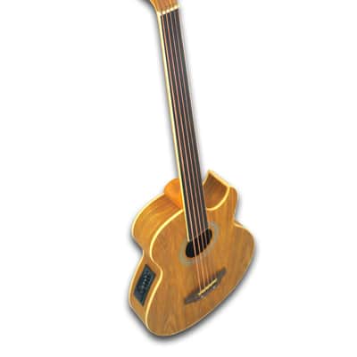 Fretless 5 String Acoustic Electric Bass image 3