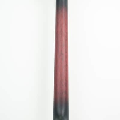 Washburn B6 American 6 String Open Back Banjo image 4