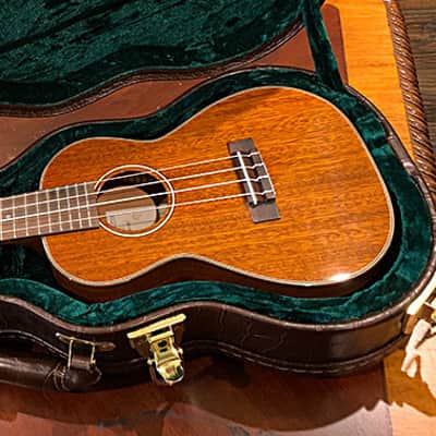 Maegen Wells-Lame Horse Collaboration Cosette Acoustic Flat Top Guitar with free Lame Horse Ukulele image 13