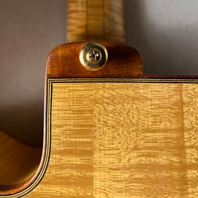 William Gagnon Composer Archtop 17" Kent Armstrong image 11