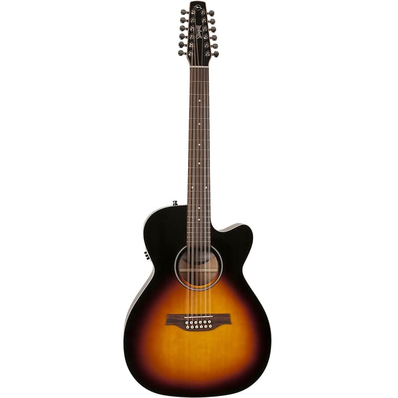Seagull S12 Concert Hall CW Spruce GT QIT image 1