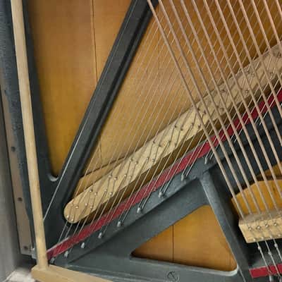 Immagine 1950's/1960's Marco Polo 64-Key Upright Piano - 16