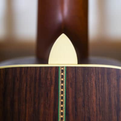 Lyon & Healy Lakeside Parlor Acoustic Electric - Indian Rosewood #004 image 22