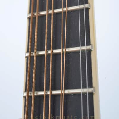 Barry Ford F-Style Bluegrass Mandolin image 18