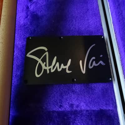 Ibanez JEM Y2K DNA Steve Vai Serial# 294 of 300 image 10