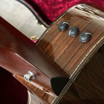 Taylor PS14CE Fall Limited Presentation Series Sinker Redwood/Macassar Ebony image 18