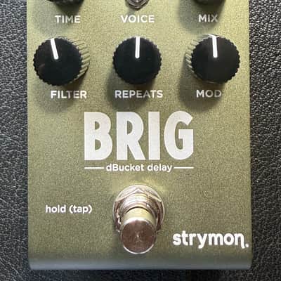Strymon Brig dBucket Delay image 2