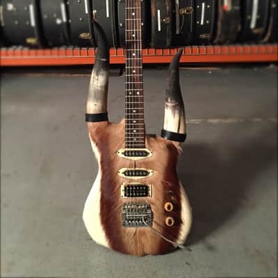 Custom Built Steerhorn Deerskin Warmoth Guitar disowned by Jeff Tweedy image 1