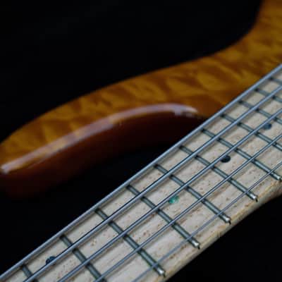 Left Handed Nordstrand Very Custom 5 String Bass image 8