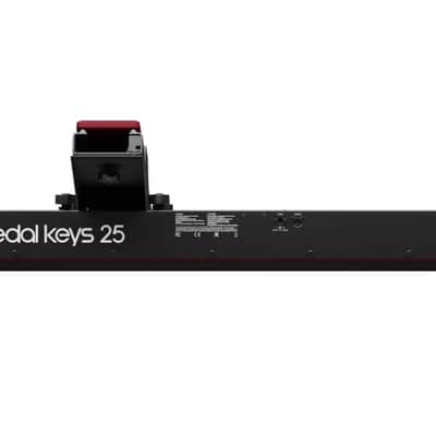 Nord PK25 | Pedal Keys 25 MIDI Pedalboard. New with Full Warranty! image 3