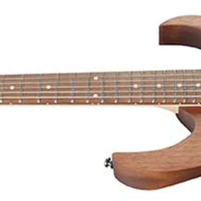 Ibanez RG421 Electric Guitar, Mahogany Oil image 3