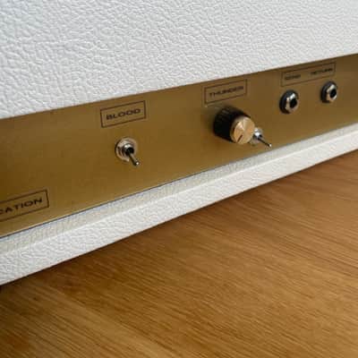 Monomyth Amplification JCM800 (Blood & Thunder mod) 100 Watt 2015-2018 - White image 5