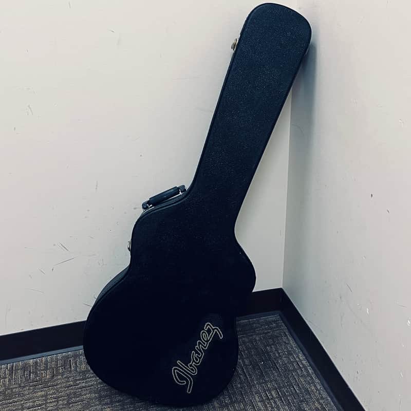 Ibanez Talman Hardshell Case image 1