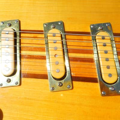 Cort PB1L Guitar, 1970's, Stratocaster Style, Neck Thru Body,  Incredible, Hang Tags, Case image 7