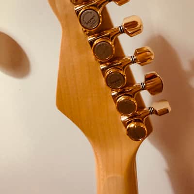 Donzilla ZebraWood Partscaster image 8