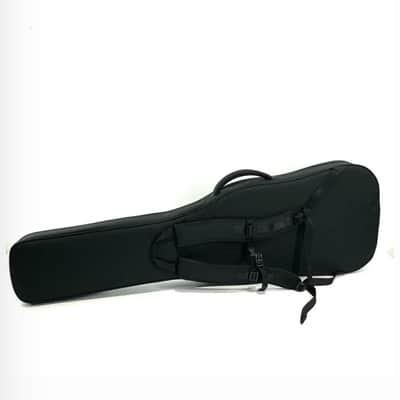 Carvin AC50L Custom USA Left Handed Fretless Acoustic Electric 5-string Bass image 16