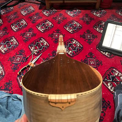 Vahid Manteghi Persian Setar (Intermediate) mid 2010s image 14