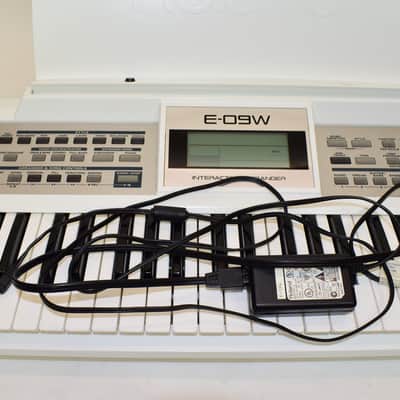 Roland E-09W 61-Key Interactive Arranger Keyboard, White image 4