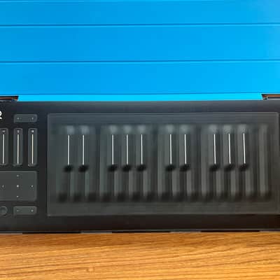 ROLI Seaboard RISE 25 with Blue Flip Case image 6