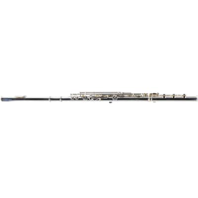 William S. Haynes Custom Silver Flute with B Foot, Offset G, C# Trill, Split E image 10