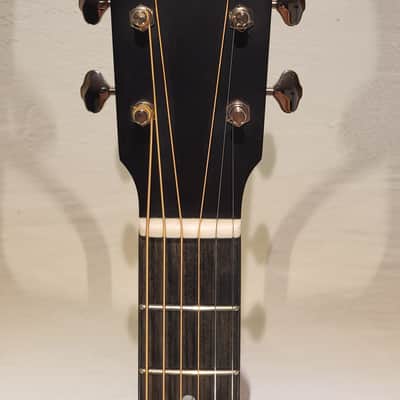 Eastman E1SS-SB 2023 image 9