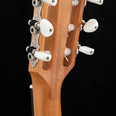 Taylor Academy 12e-N Nylon image 7