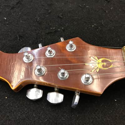 Michael Dolan Custom Neck Through 6-String Guitar image 3