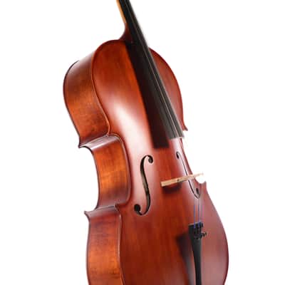 Scherl & Roth SR55 Galliard Student Cello - 4/4 image 2