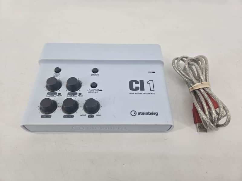 Steinberg CI1 2010's - White image 1