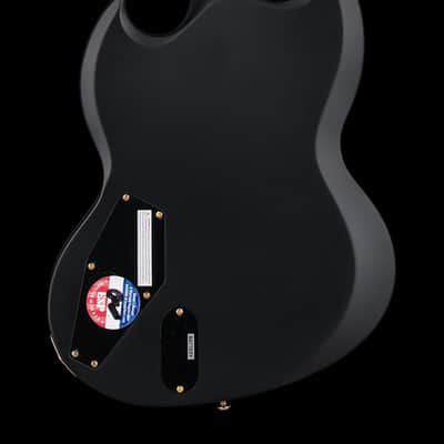 LTD Viper-1000 - Vintage Black #22335 (Factory Demonstration Model) image 2